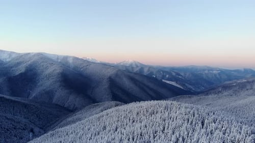 Luftflug über dem Winterwald im Bergtal bei Sonnenaufgang
