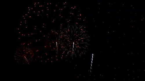 Spectacular Fireworks Display Lighting Up the Night Sky
