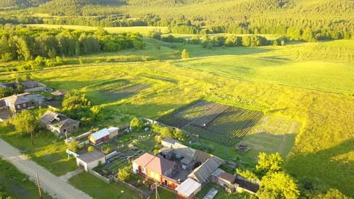 Farmer In The Small Village