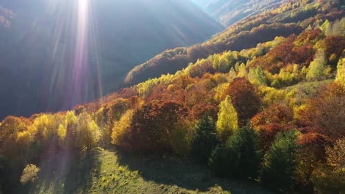 Luftaufnahme der ländlichen Herbstlandschaft mit buntem Wald und Landschaft Gehöft