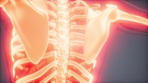 Glowing 3D Human Skeleton Medical Scan