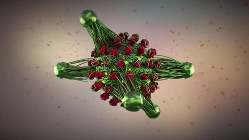 Green T Cells And Antibodies Attacking Covid 19 Coronavirus Spike Proteins Seamless Loop