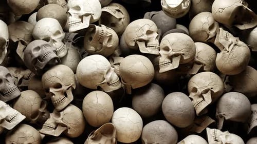 Transição de crânios 4K