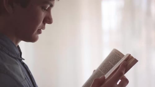 Side View of Young Man Reading Interesting Book in the Room in Front of Large Window Close Up