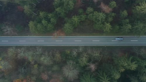 Fly with a faster driving black car from above in a forest.