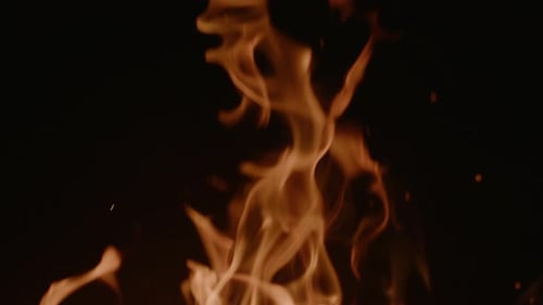 Closeup View of Bright Campfire Flame Rising Up Outdoors on Summer Night Rbbro