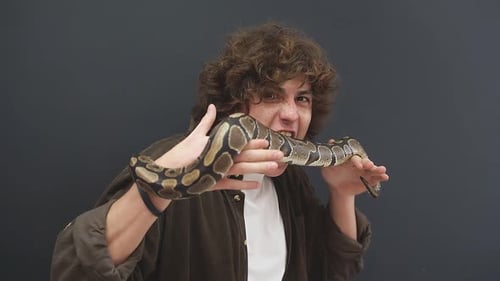 Eine Schlange, die auf einem Mann krabbelt