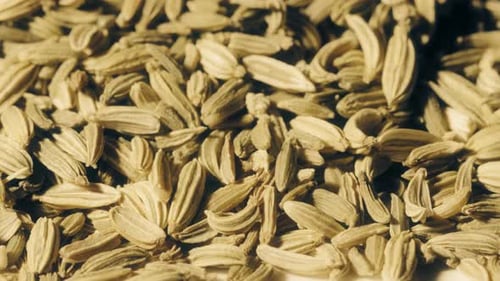 Close Up of Fennel Seeds