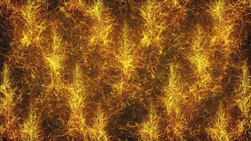 Gold Luxury Abstract Pattern