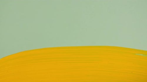Abstract Brushstrokes of Yellow Paint Brush Applied Isolated on a Green Background