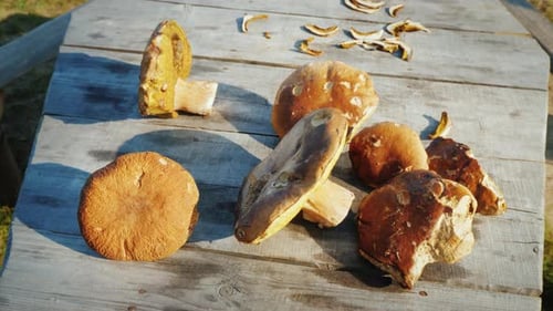 Fresh Brown Mushrooms on Rustic Wooden Table