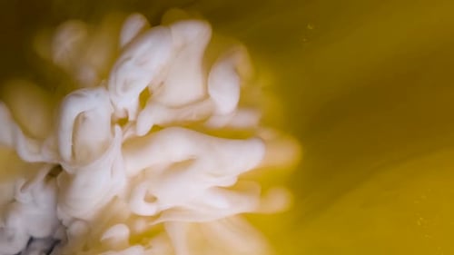 Weiße und orange Tinte in Wasser. Kreative Zeitlupe. Vor abstraktem Hintergrund