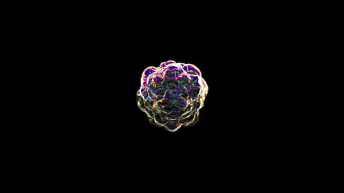 Animação realista de uma bolha de água de sabão com fundo preto com distorção de cor do arco-íris