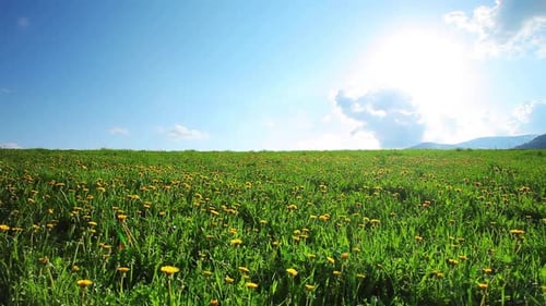 Zeitraffer bei Green Meadow