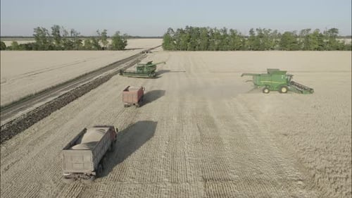 Aerial View of Harvesters and Trucks Working Field