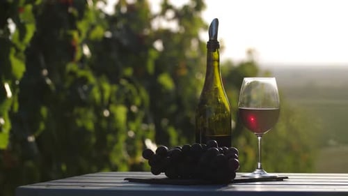 Merlot auf dem Tisch
