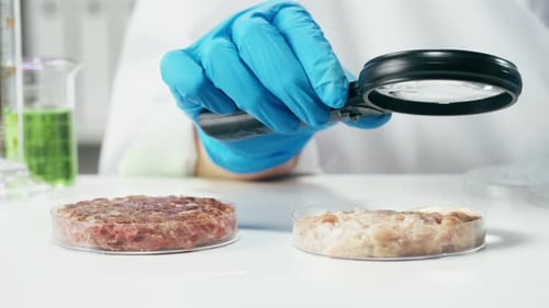 Close Up of Scientist Inspecting Meat in Petri Dish
