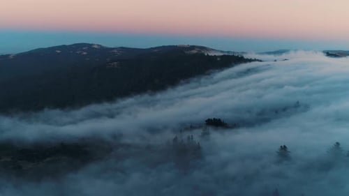 Rolling Low Fog