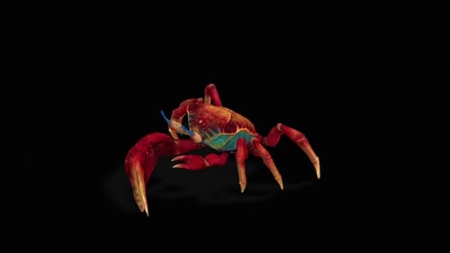 Stylized 3D Red Crab Walking Animation