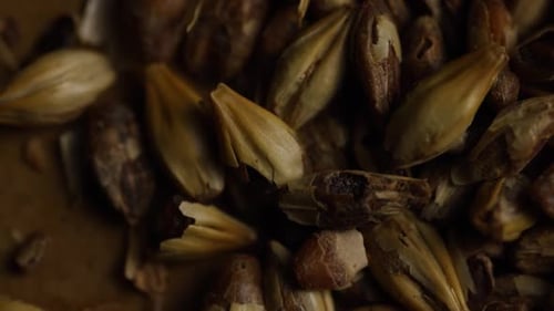 dose rotativa de cevada e outros ingredientes de fabricação de cerveja - BEER BREWING 076