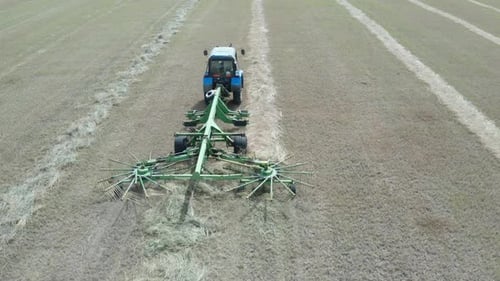 Drying Hay In The Field