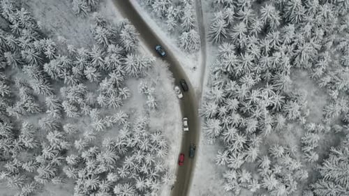 Aerial View of Cars Driving on the Road Through Frozen and Covered with Snow Pine or Spruce Forest