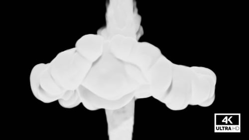 White Smoke Collision