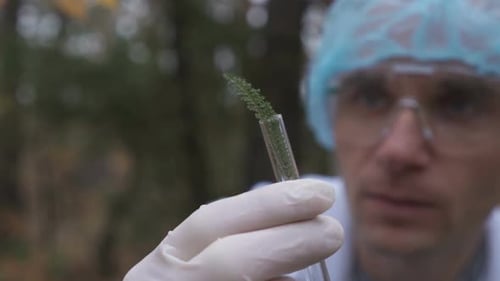 In the Forest, an Ecologist Takes Samples of Plants and Puts Them in a Test Tube