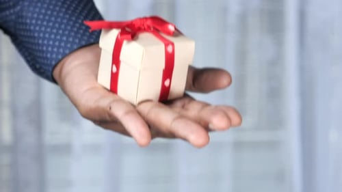 Close Up of Small Gift Box on Hand.