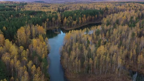 Aerial view of small lakes surrounded by autumn forest.