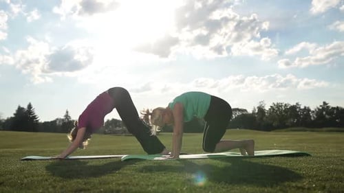 Elegant Sporty Ladies Practicing Yoga Pose in Park
