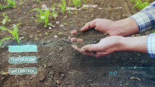 Farmer Checks Soil Moisture in the Field. Red Indicator Flashes
