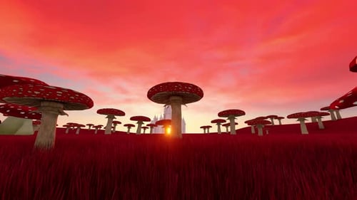 Magic Mushroom Meadow