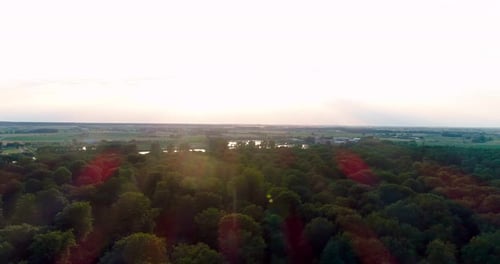Aerial Shot of Woods Forest Nature Landscape