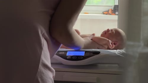 Infant Weighed on Scale by Parent