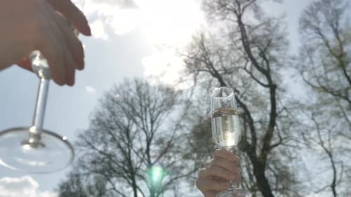 Les mains des jeunes femmes tiennent des verres avec du champagne et du clink