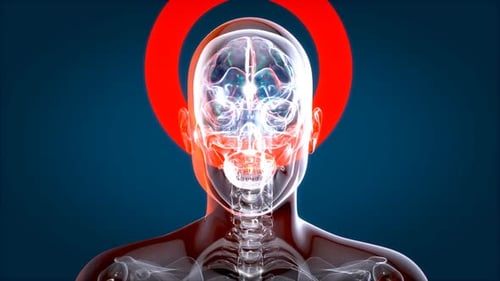 3D Animation of Human Brain Pain and Neural Activity