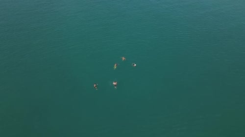 People Swimming in the Turquoise Ocean from Above