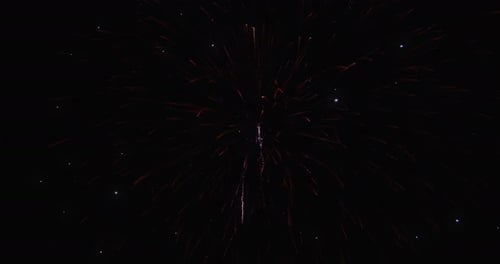 Firework