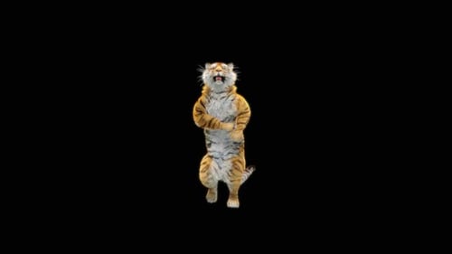 65 Tiger: Tanzen HD