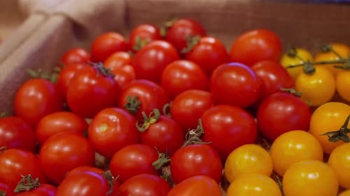 Tomates rojos y amarillos en vista de primer plano de la tienda de comestibles o del mercado