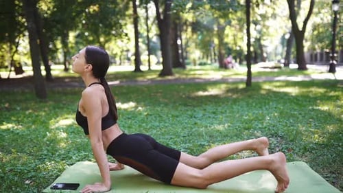 Athletic Young Woman Doing Yoga in the Park in the Morning