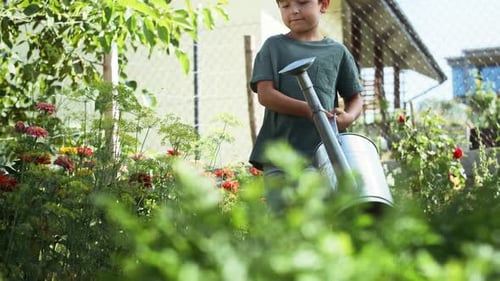 Child with Watering Can in Flower Garden