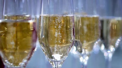 champagne in wine glasses. a sparkling wine. bubbles rise. buffet table