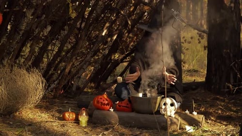 Witch Brewing Potion in Forest Halloween Scene