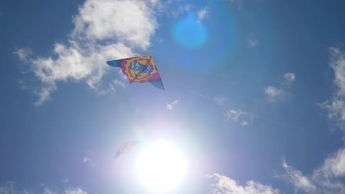 Kites In The Sky