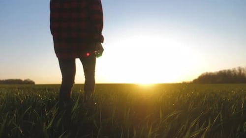 Farmer Girl Walking Beside Green Wheat Field Enjoying the Sun. Female Farmer in Plaid Shirt and Hat
