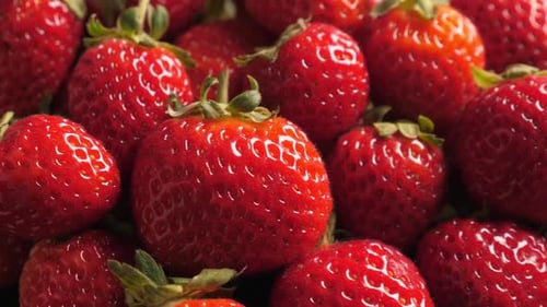 A Lot of Ripe and Fresh Strawberry