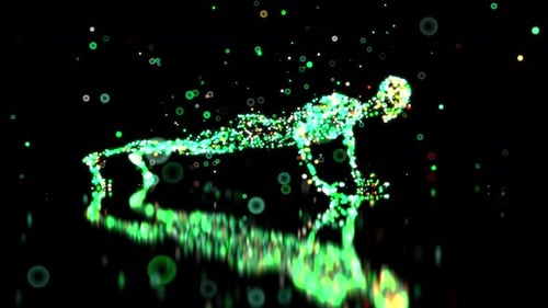 Anatomie 4K d'un homme faisant des pompes