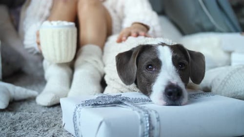 Child Cuddles Dog on Christmas Present